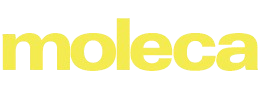 Moleca S.A